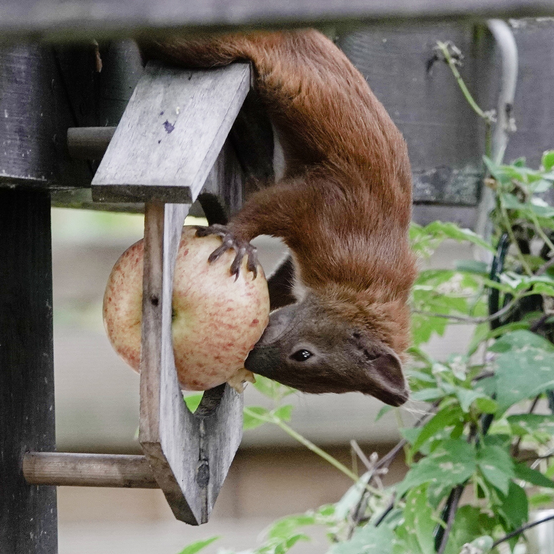 Es schmeckt in jeder Lebenslage :-)