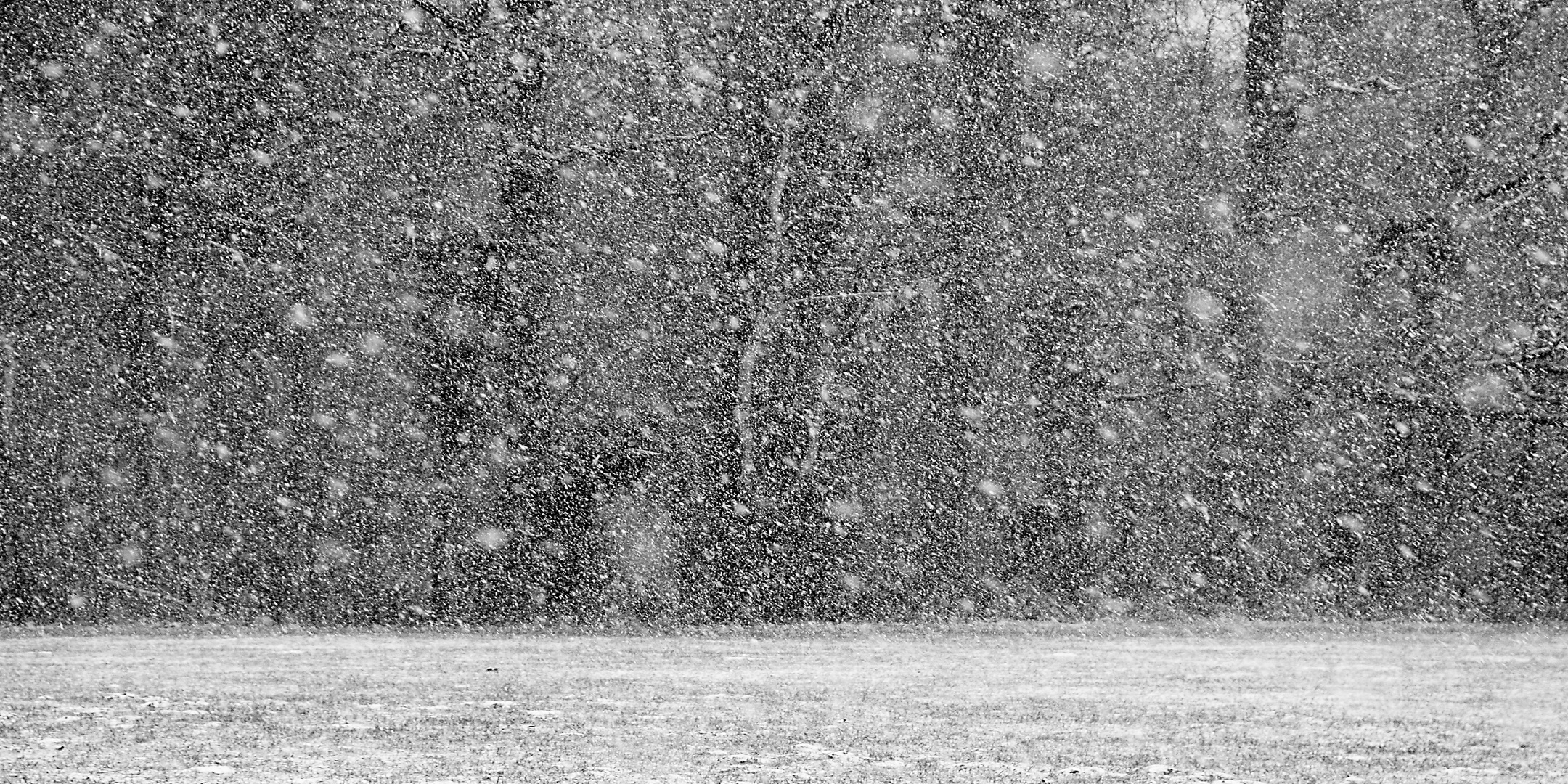 Es Schneit Foto & Bild | dein bestes foto 2017, jahreszeiten, nikon