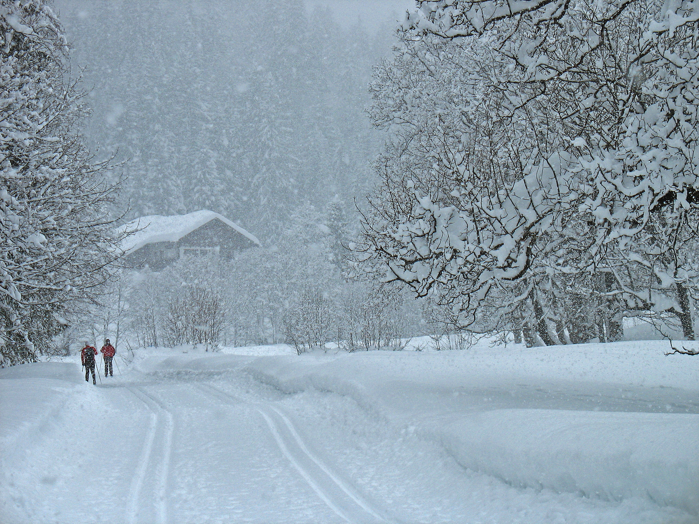 Es schneit Foto & Bild | menschen im schnee, langlauf, loipe Bilder auf