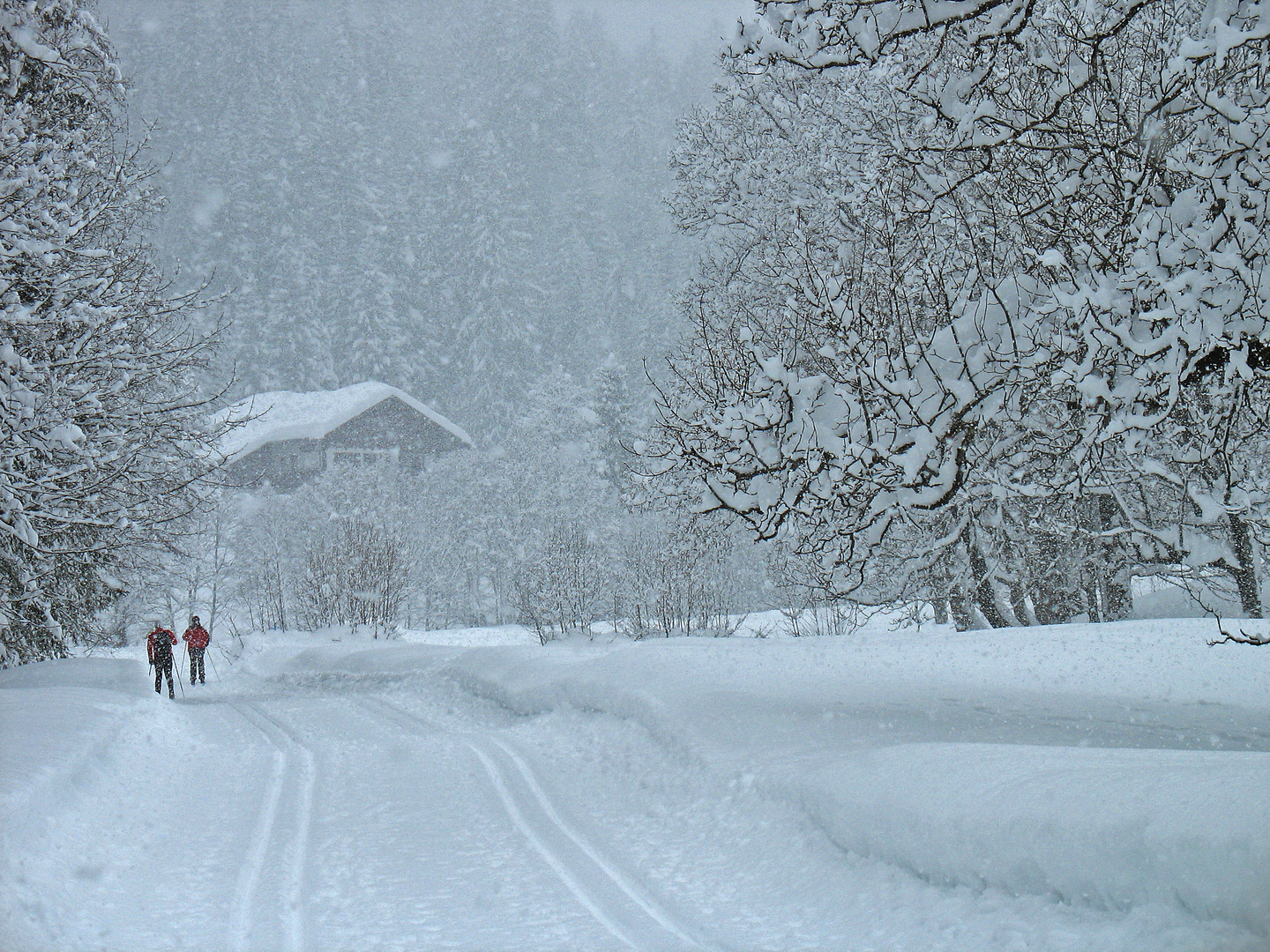 Es schneit Foto & Bild menschen im schnee, langlauf, loipe Bilder auf Es schneit Foto & Bild menschen im schnee, langlauf, loipe Bilder auf