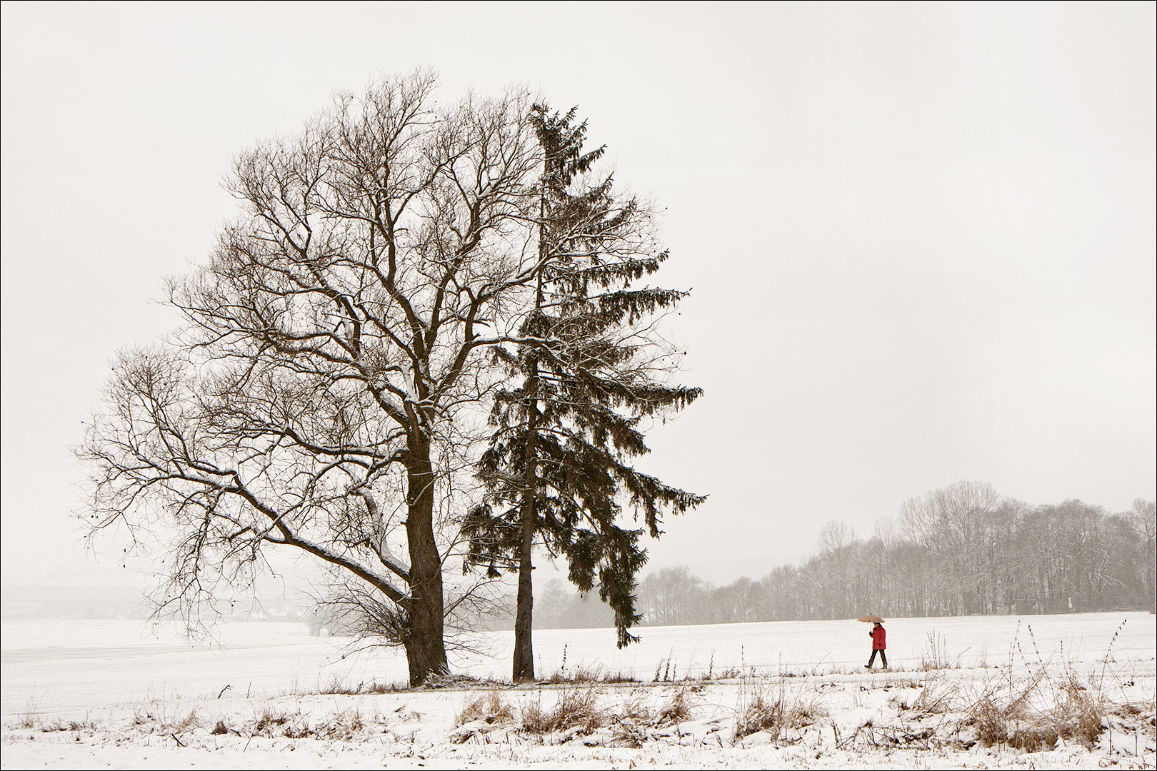  . . .  es schneit bei den Partnern