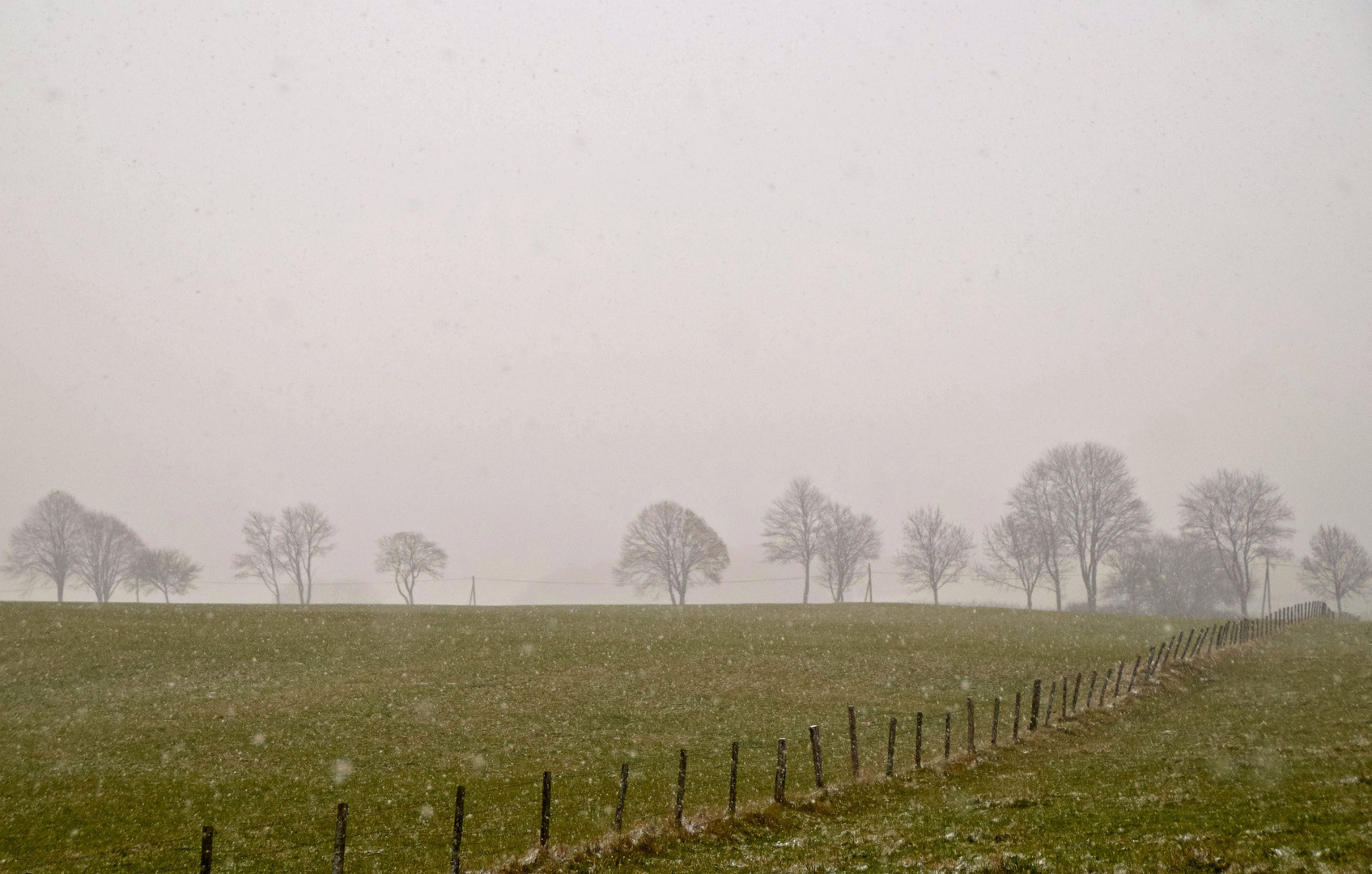 Es schneit Foto & Bild | landschaften, winter, jahreszeit Bilder auf