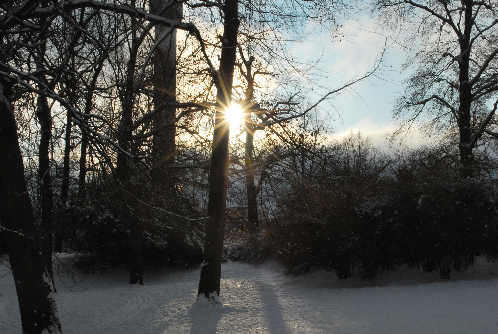 Es schneit -  es wurde höchste Zeit, die Sonne streckt die Strahlen aus...