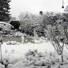 Es schneit - Garten um 14,30-Uhr