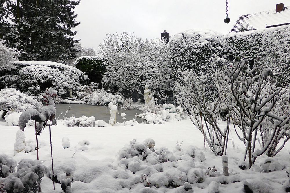 Es schneit - Garten um 14,30-Uhr