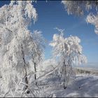 Es schneit immer noch