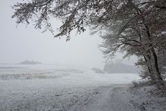 Es schneit immer noch