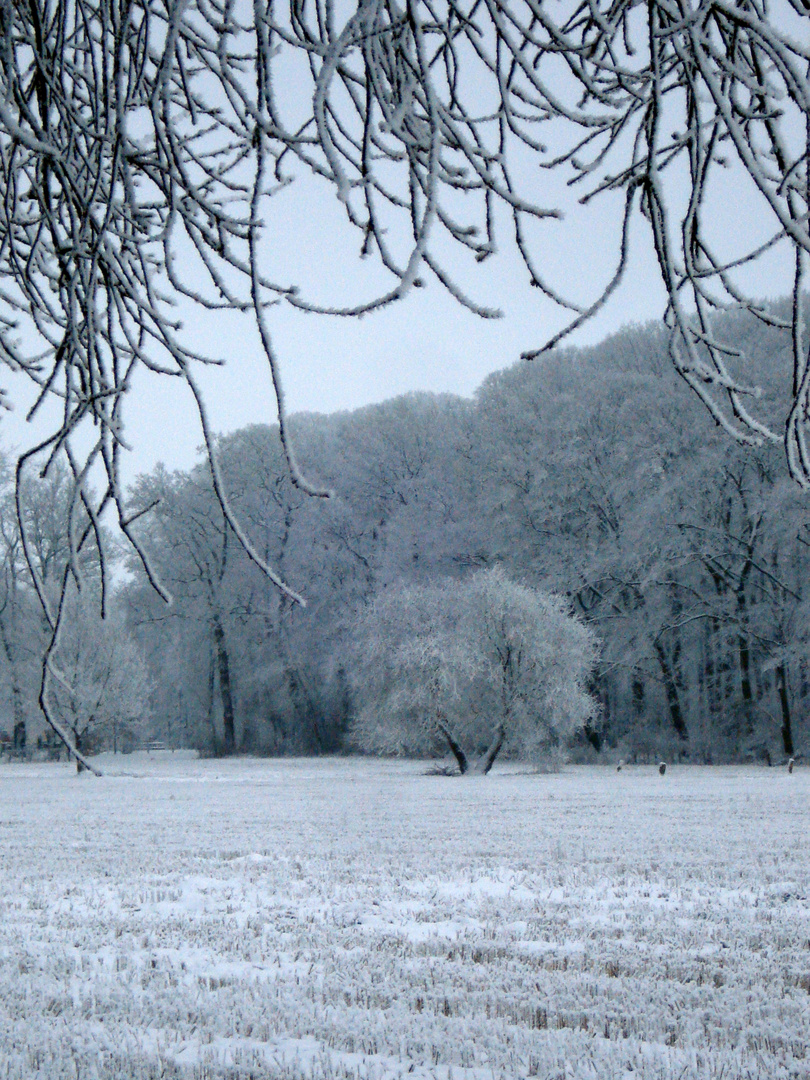 Es schneit immer wieder neu