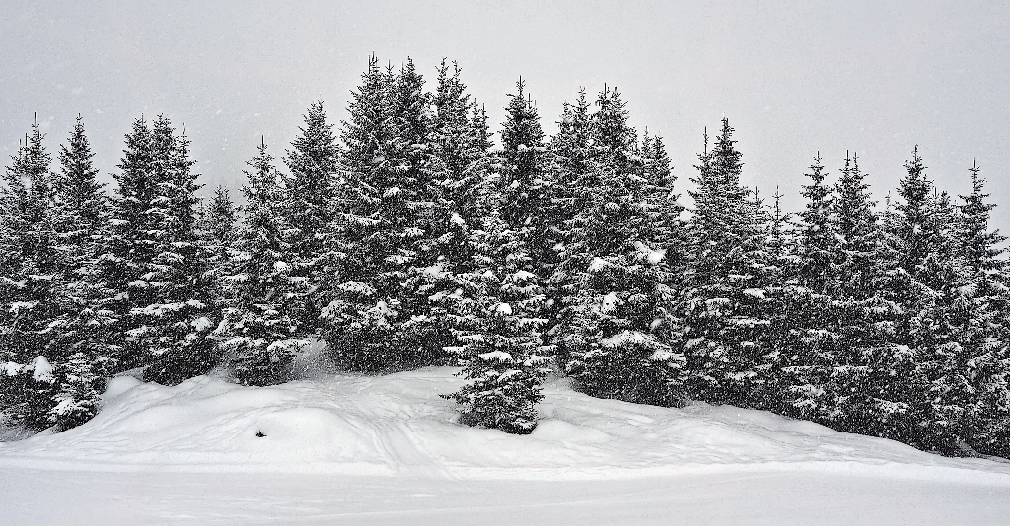 Es schneit in den Bergen. - Il neige à la montagne!