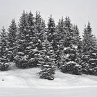 Es schneit in den Bergen. - Il neige à la montagne!