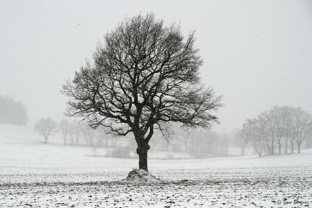 Es schneit in der Heimat...