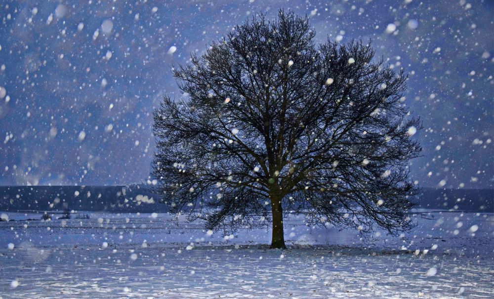 Es schneit in Tirol Foto & Bild world, winter, schnee Bilder auf