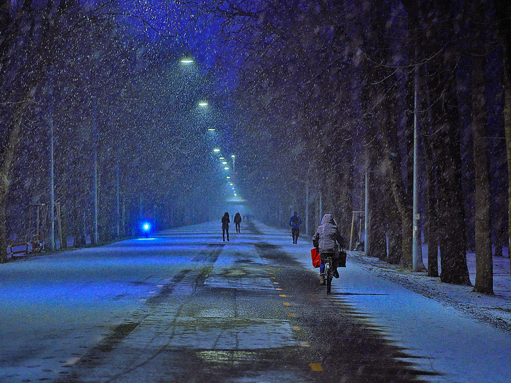 Es schneit in Wien .