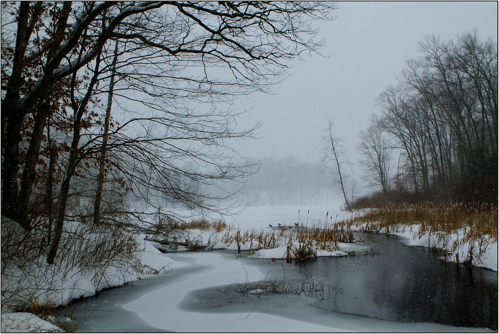 Es schneit noch immer.....