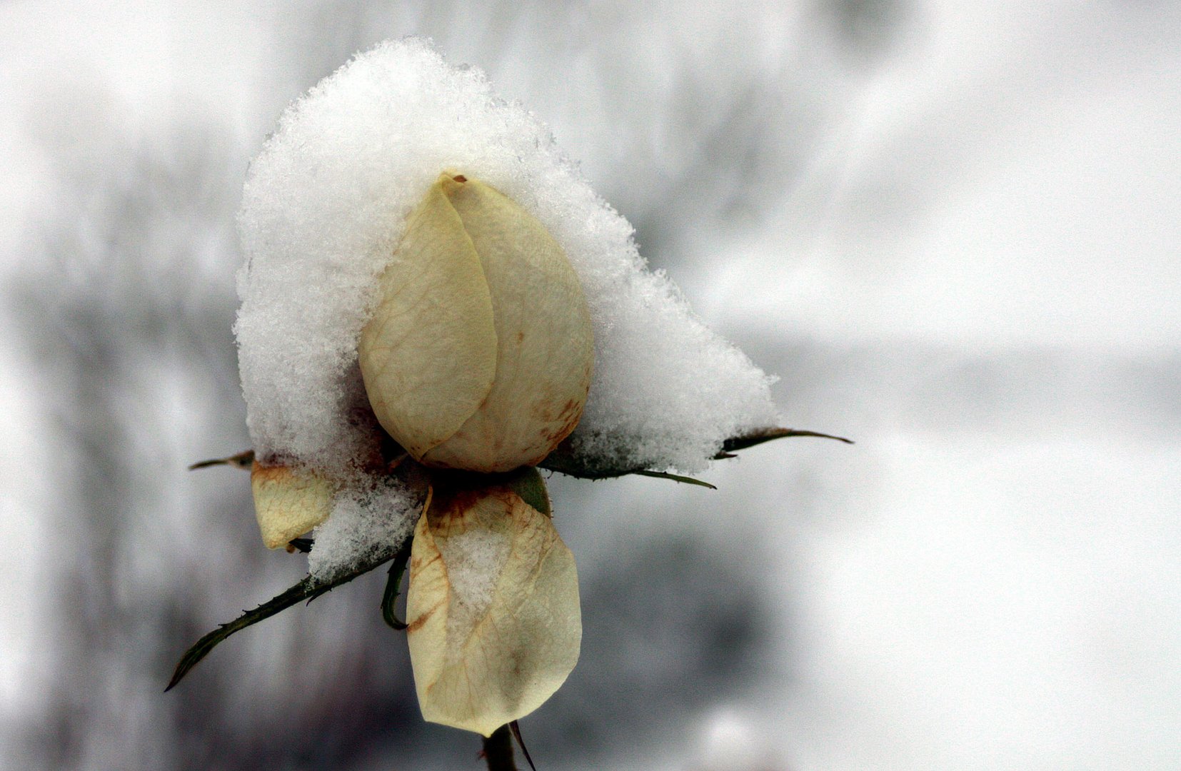 Es schneit schon wieder mal ein wenig