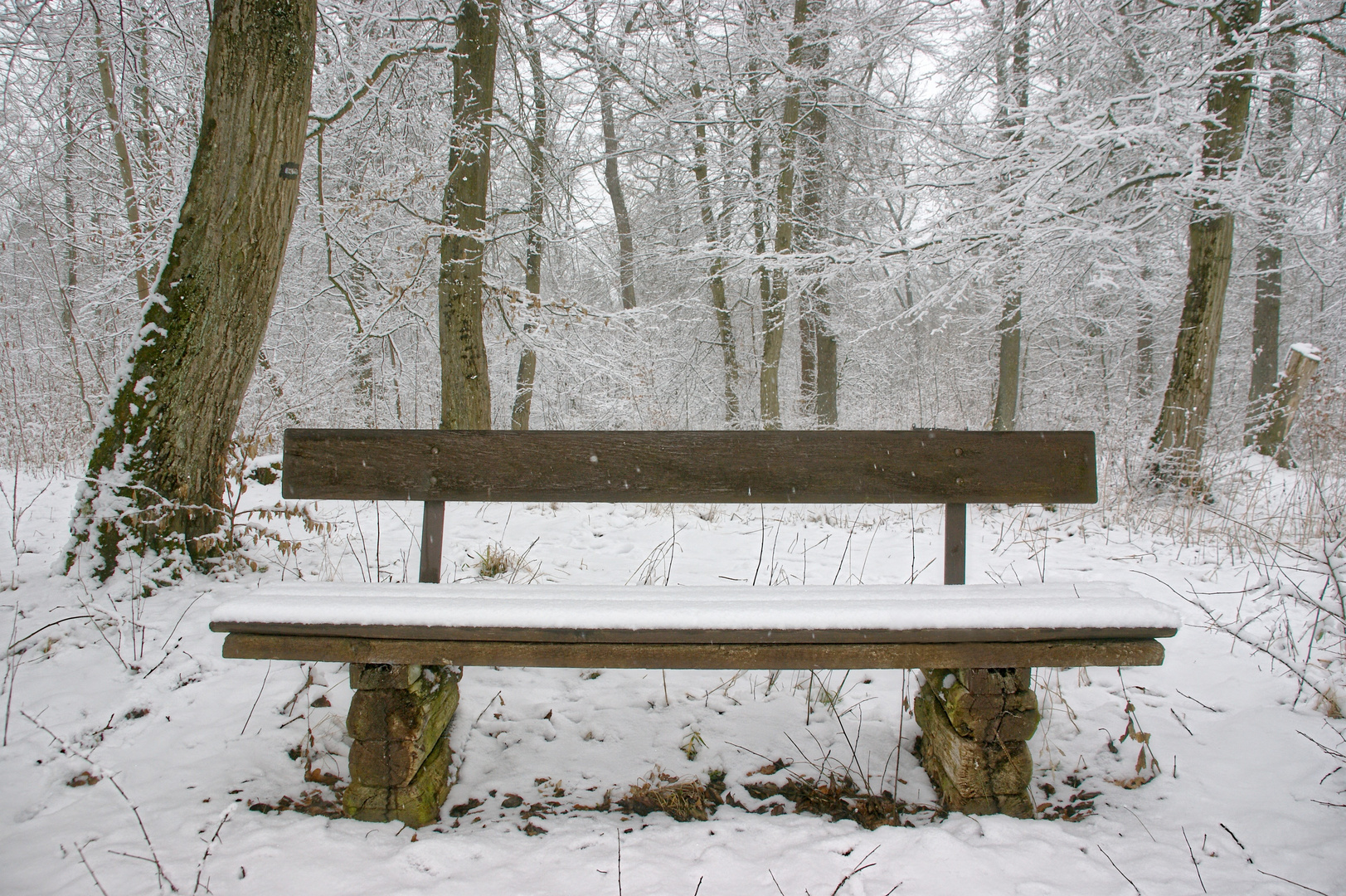 Es schneit und schneit.......! Foto & Bild | architektur ...