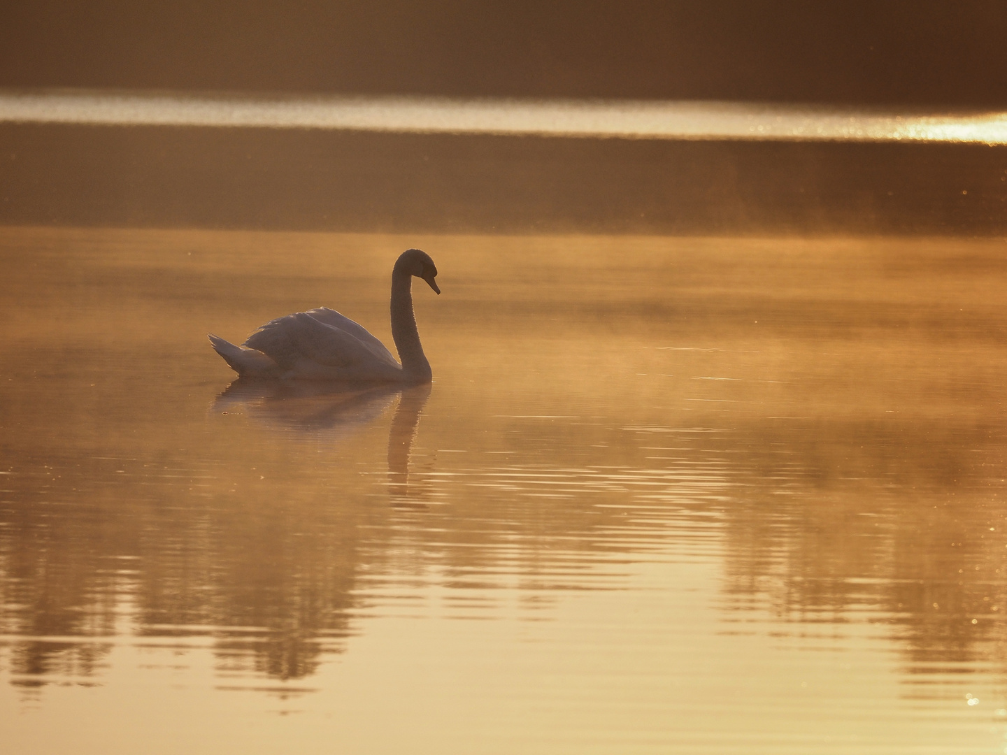 Es schwant der Morgen. ;-)