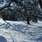 "Es sieht nach Winter aus"