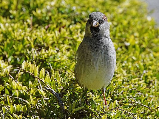 es sieht nicht nur so aus, ich war schon immer selbstbewusst