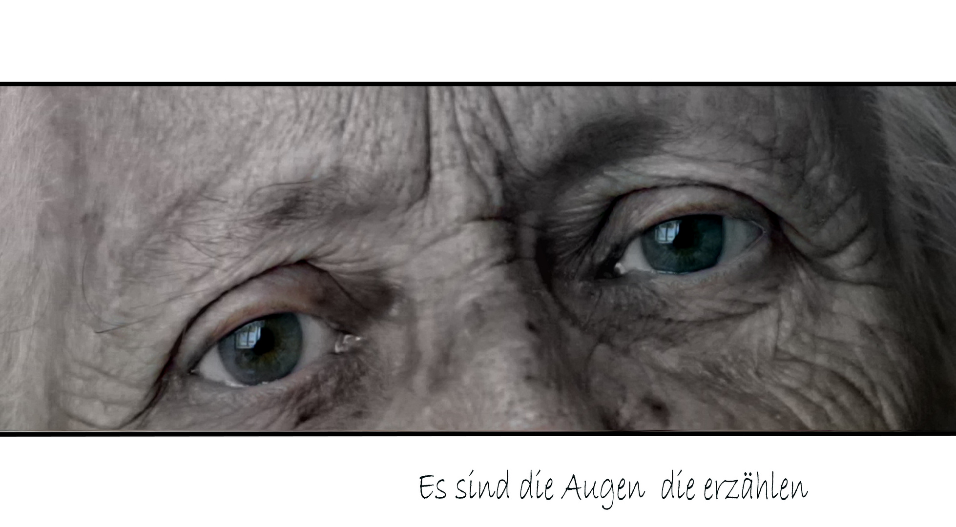 Es sind die Augen