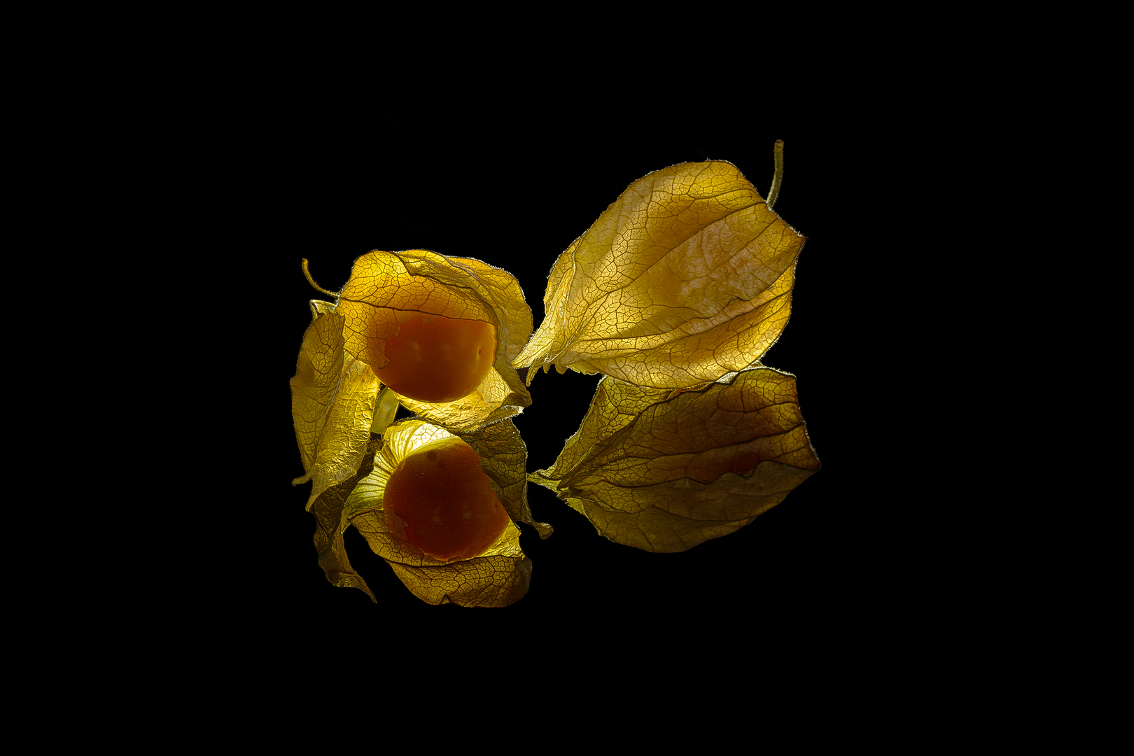 Es sind nur Physalis