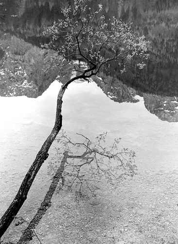 Es speigelt sich im Langbathsee