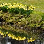 Es spiegelt sich der Frühling ...