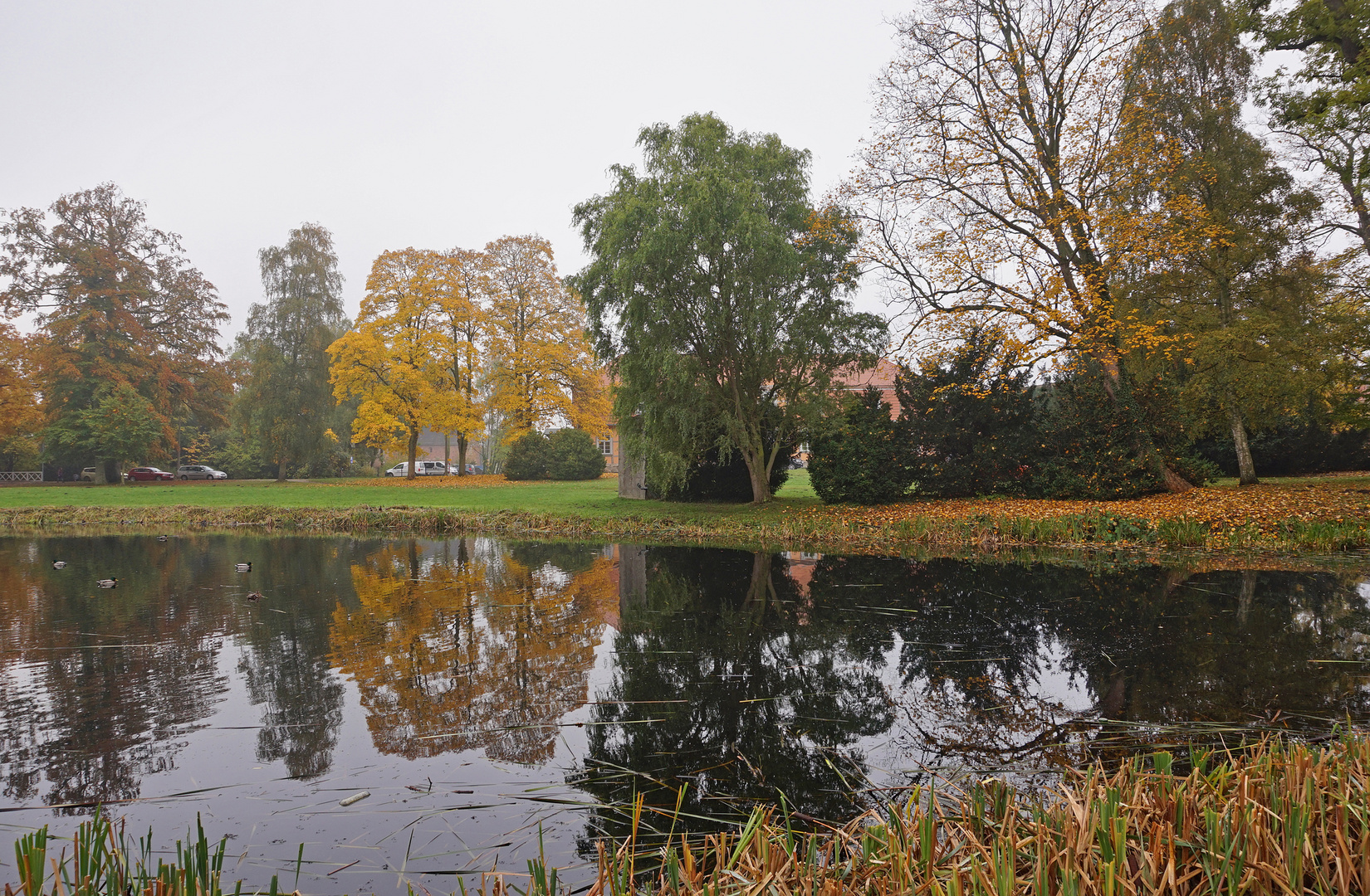 Es spiegelt sich im Teich