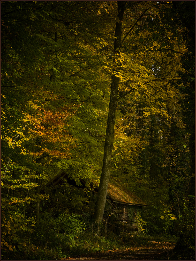 Es steht eine Hütte....