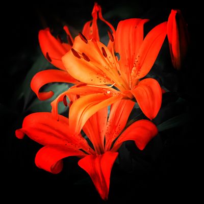 Es stellte sich die Frage....