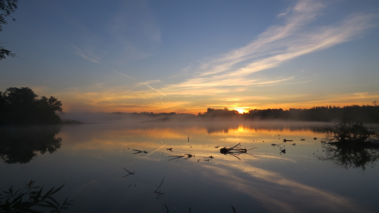 Es tanzen die Nebelfeen über dem Teich ...