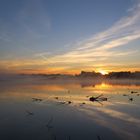 Es tanzen die Nebelfeen über dem Teich ...