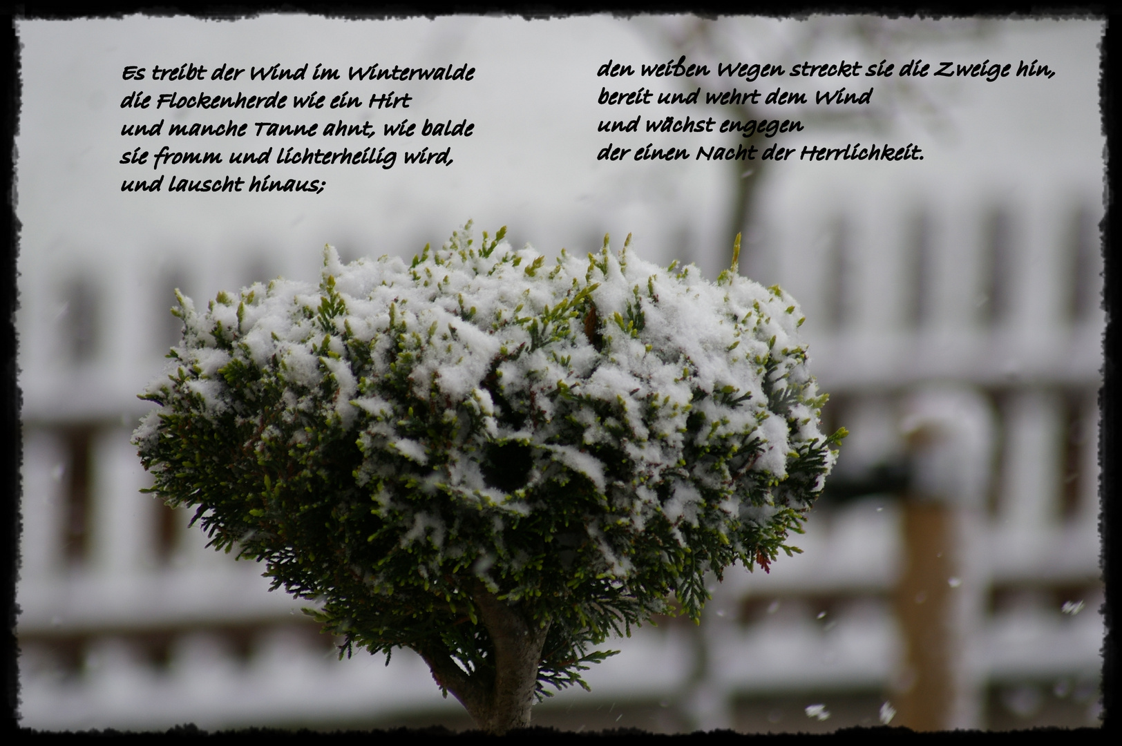 Es treibt der Wind im Winterwalde die Foto & Bild gratulation und
