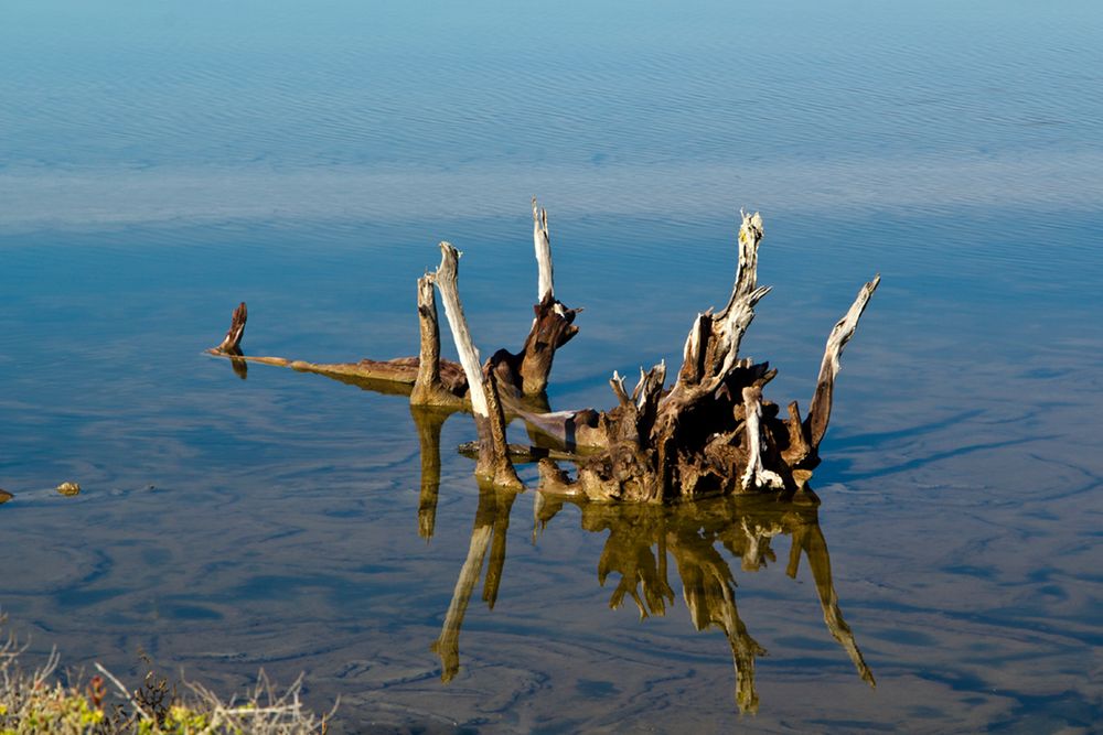 Es Trenc, Naturschutzgebiet 4