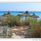 Es Trenc Strand Mallorca