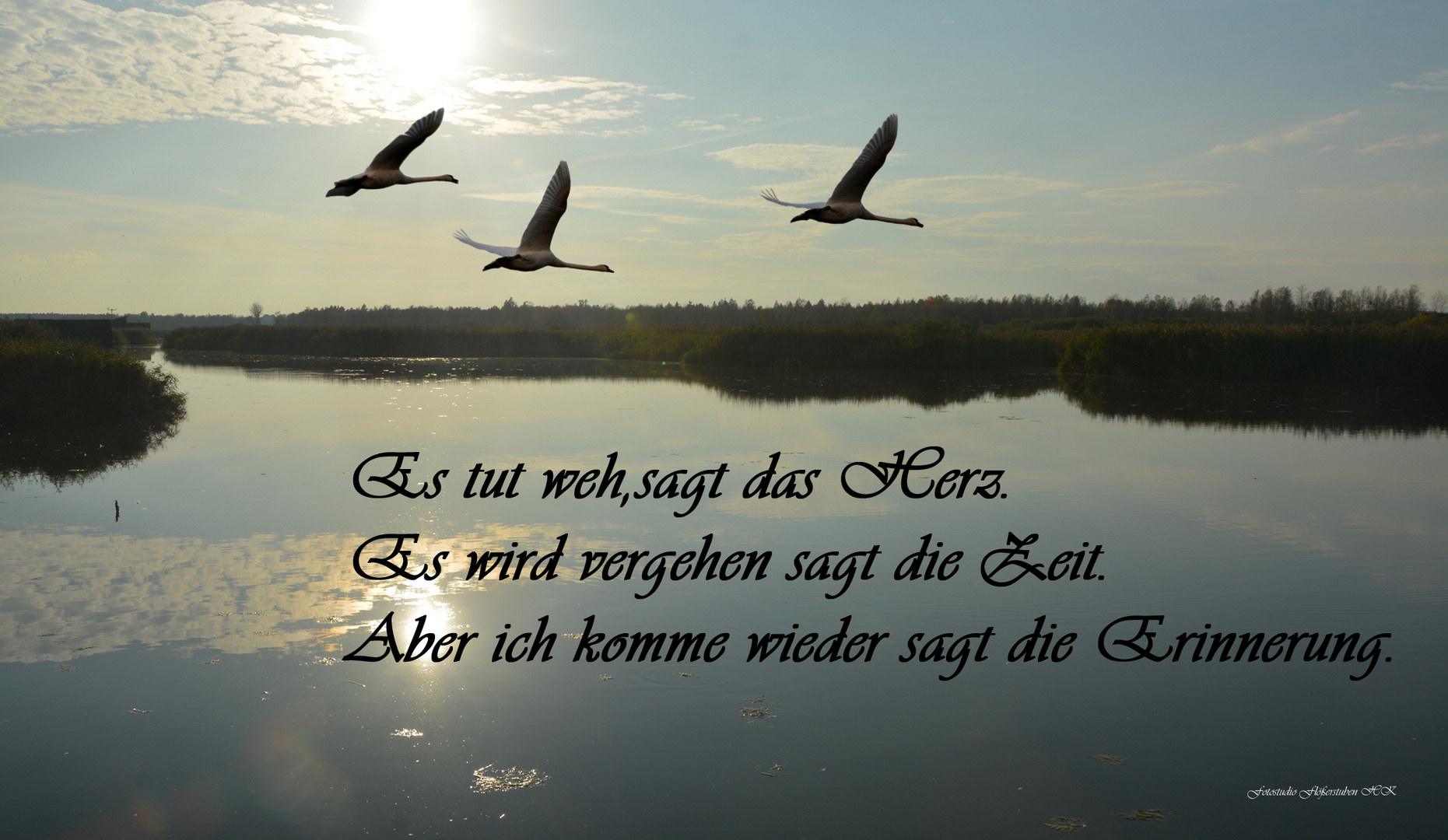 Es tut weh sprüche