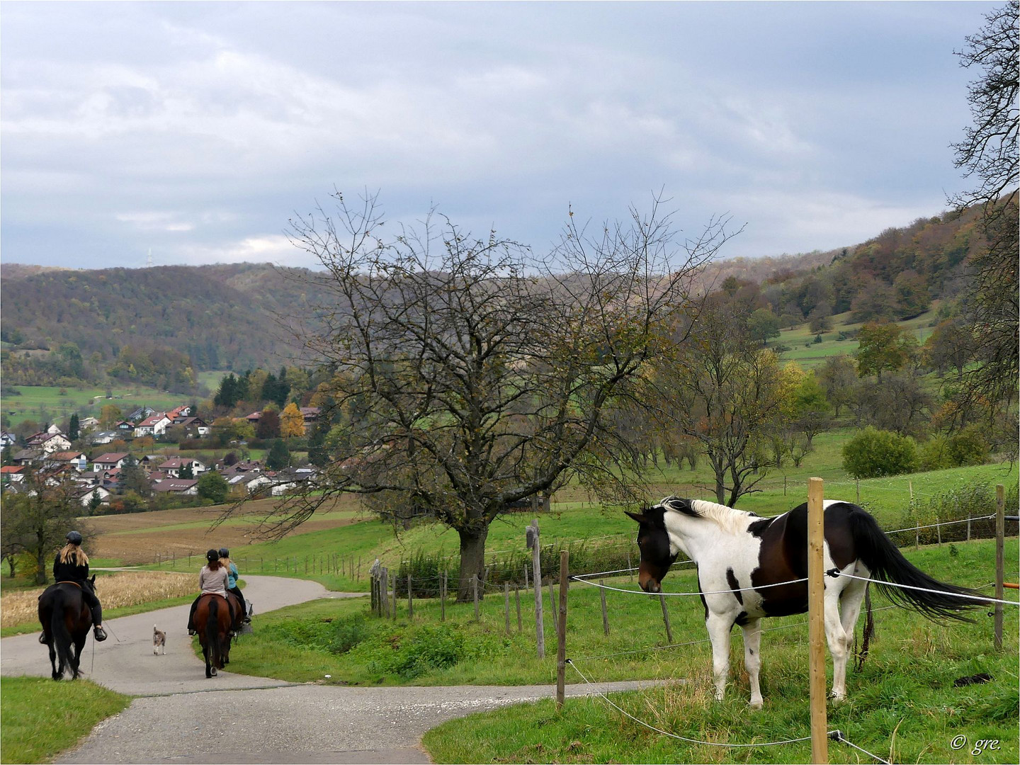 Es wäre gerne mitgegangen.......