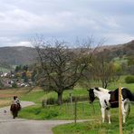 Es wäre gerne mitgegangen.......