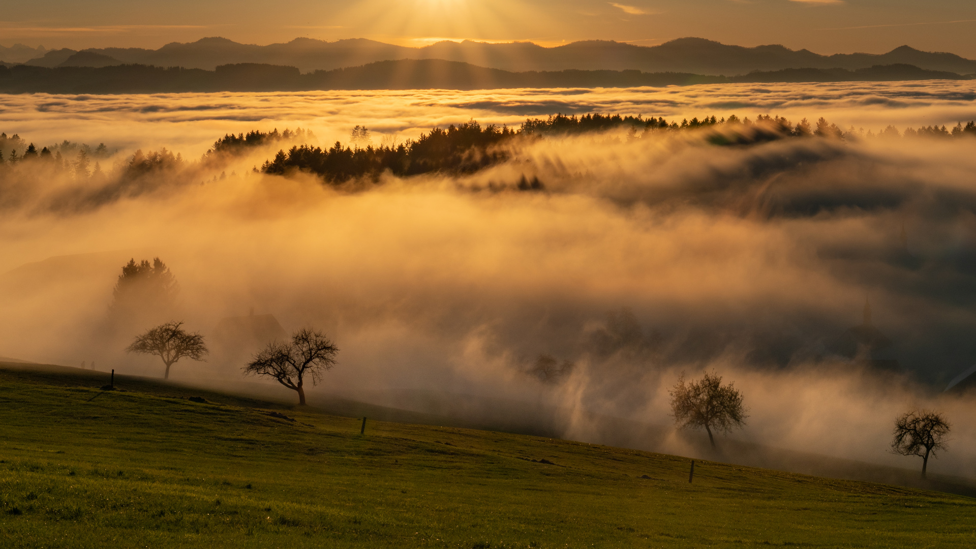 Es wallt der Nebel