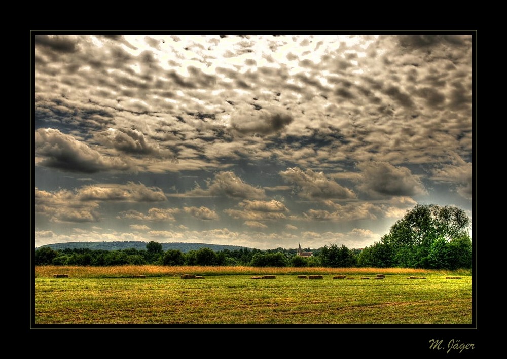 Es war auch einmal Sommer.......in diesem Jahr.