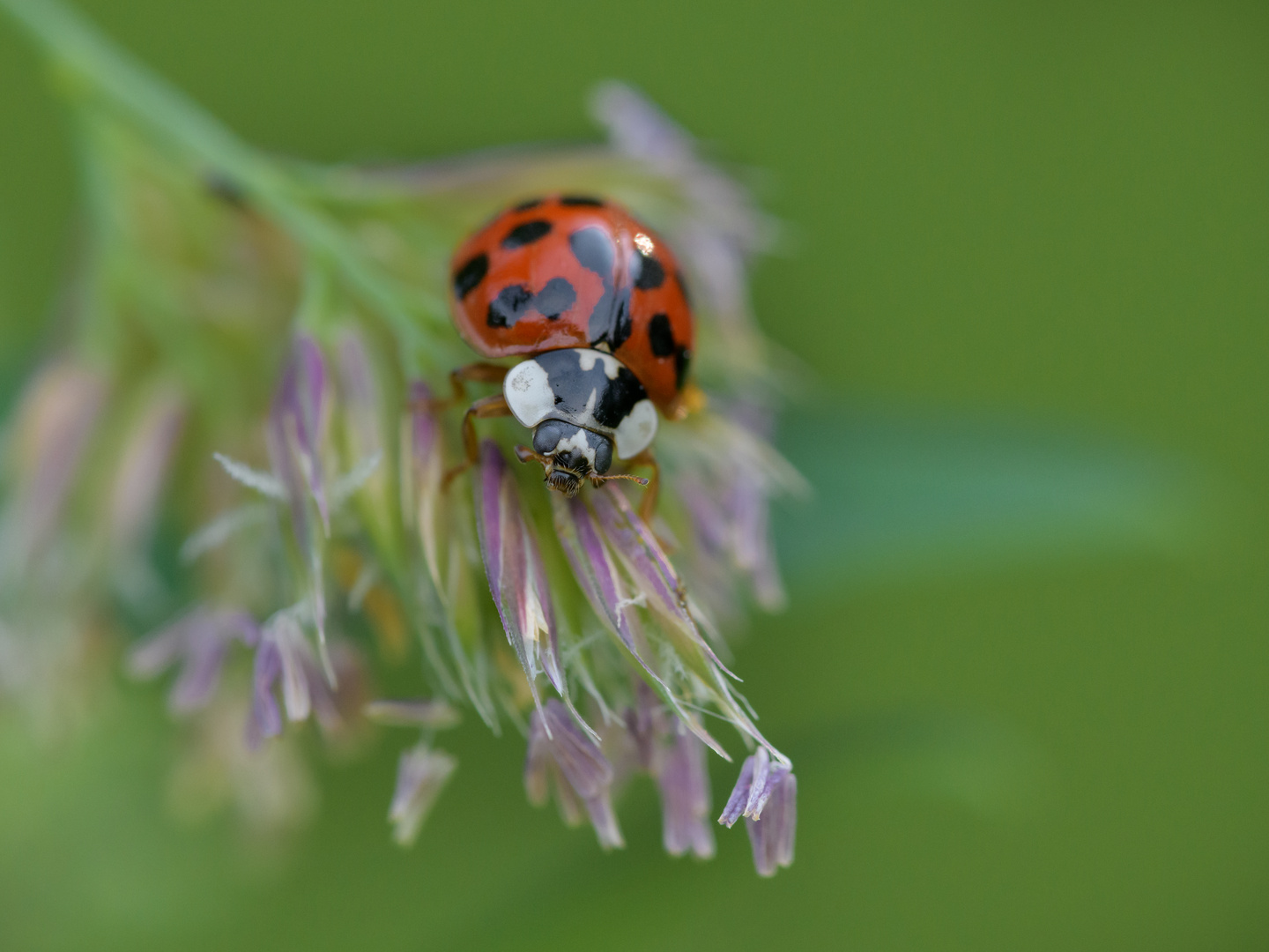 Es war auch mal Sommer