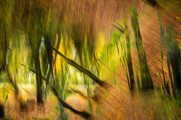 es war bestimmt der Herbstwind