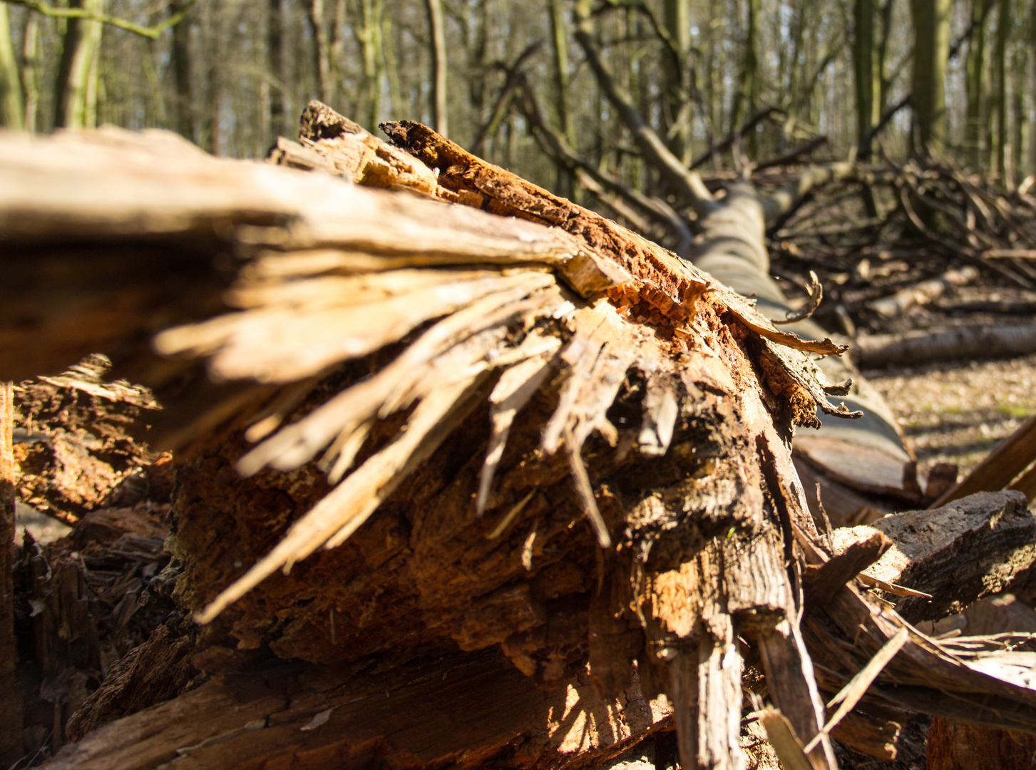 es war der Sturm