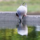 Es war ein heißer Sommer für alle