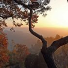 Es war ein schöner Morgen auf der Bastei in der Sächsischen Schweiz...