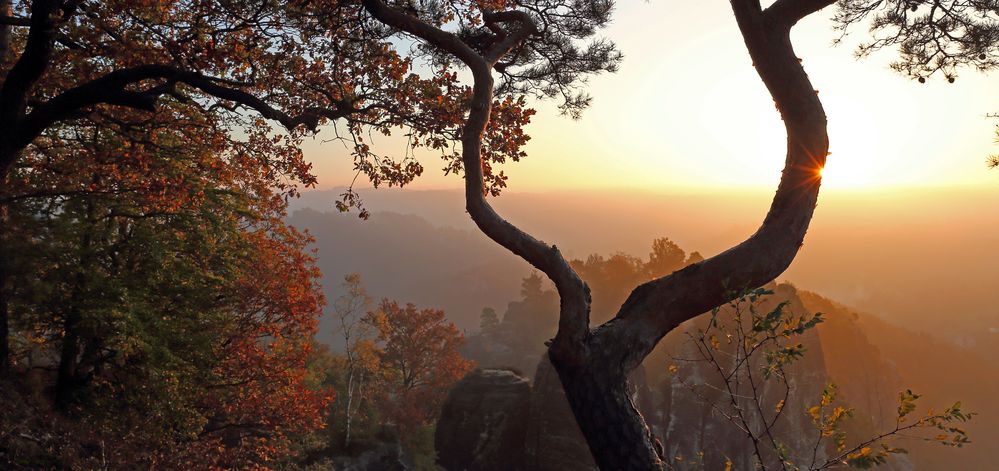 Es war ein schöner Morgen auf der Bastei in der Sächsischen Schweiz...