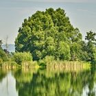 Es war ein schöner Sommertag ohne größere Windbewegung.