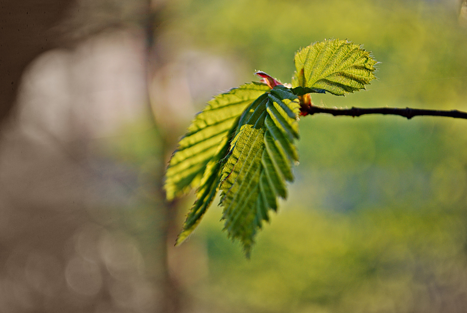 es war ein schöner Tag&hellip; Foto &amp; Bild jahreszeiten, frühling