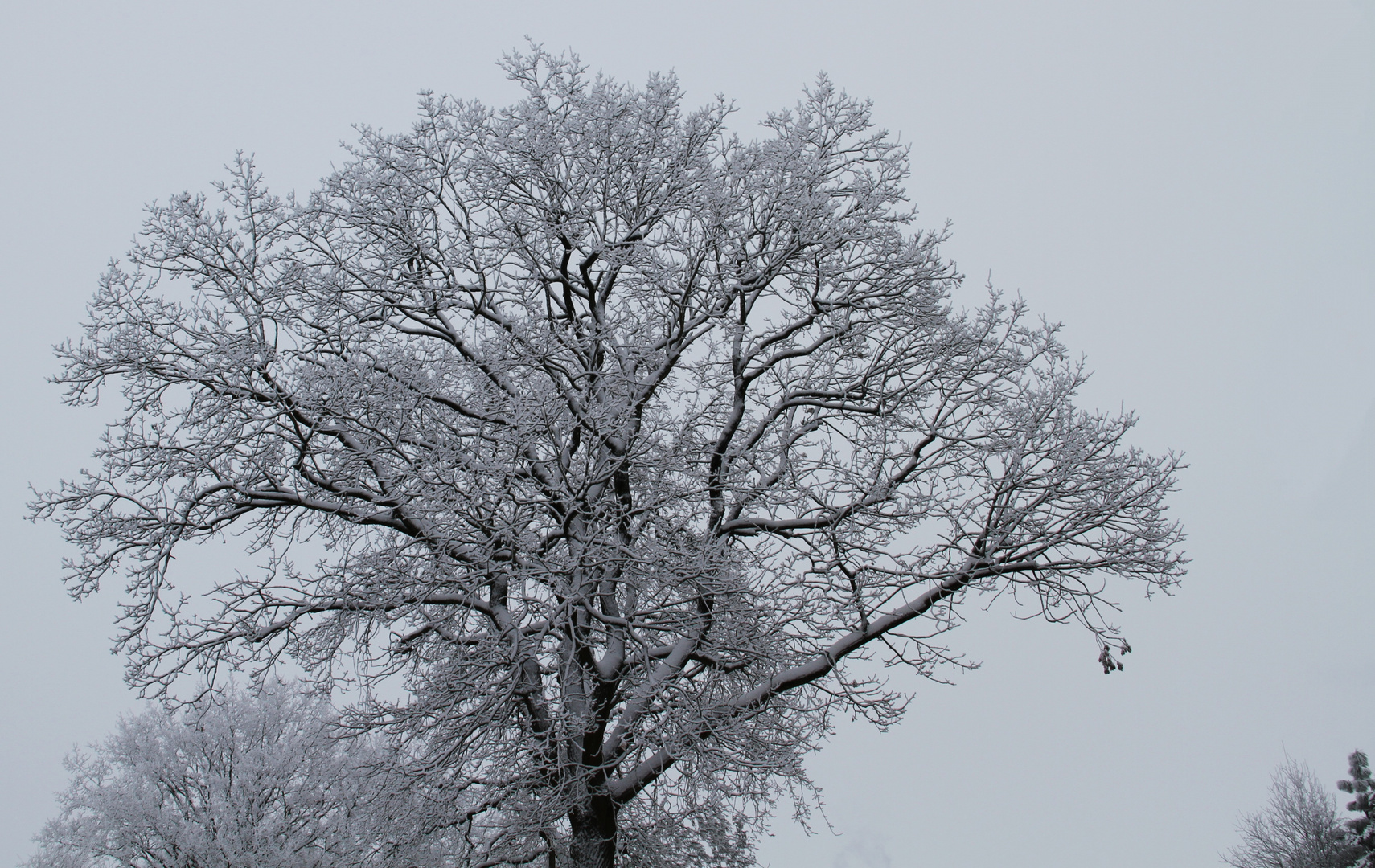 es war ein schöner Winter ... 2012