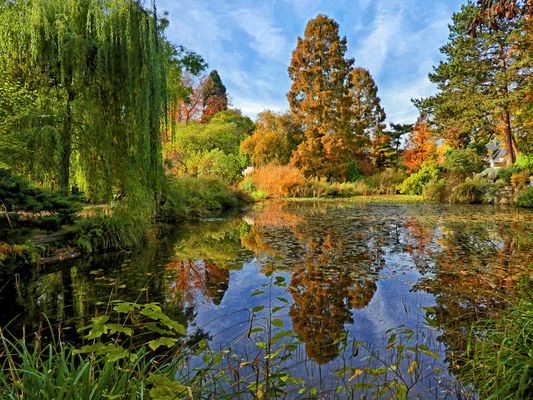 ES WAR EIN SONNIGER TAG IM HERBST....